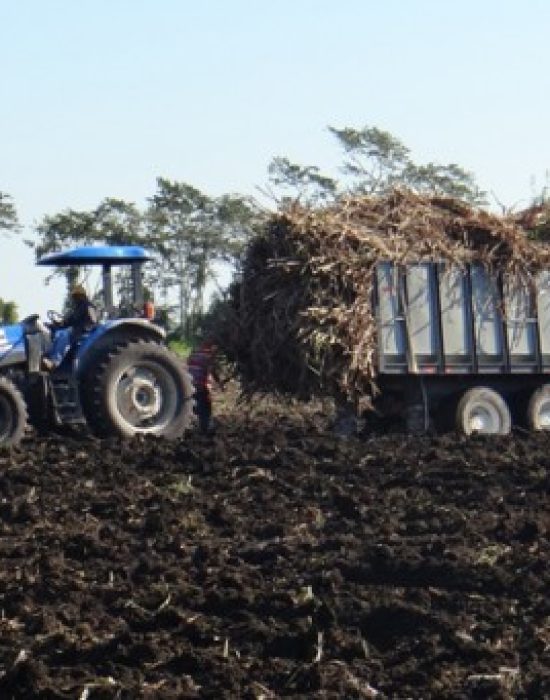 Sirdi Tractor Services